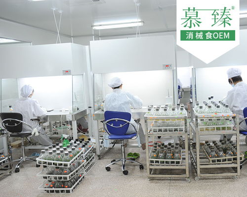 成熟配方魔芋粉生产工厂加工项目 慕臻制作商 在线咨询
