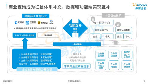 中国商业查询市场分析2021